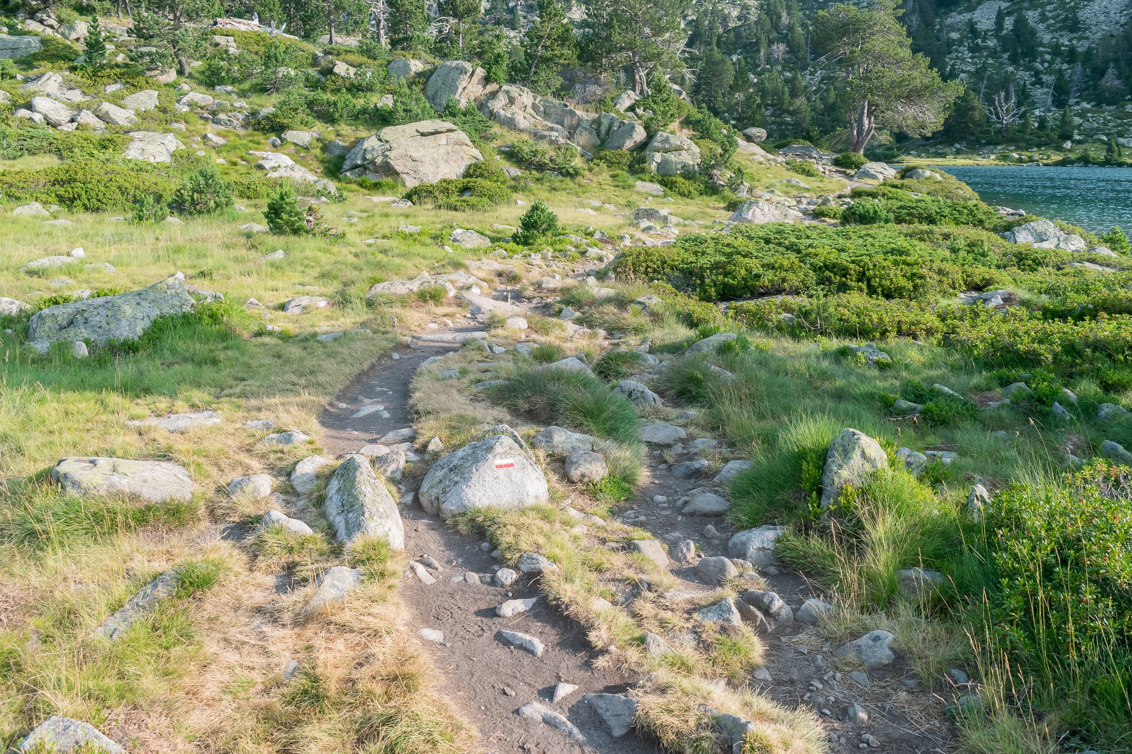 Sentier de randonnée dans la réserve du Néouvielle